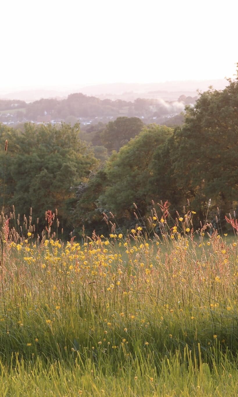 springmeadow-2048x1365